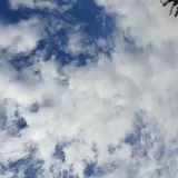 리뷰 작성자