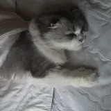 리뷰 작성자