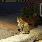 리뷰 작성자