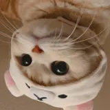 리뷰 작성자