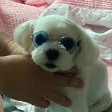 리뷰 작성자