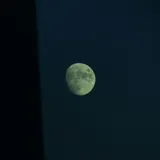 리뷰 작성자