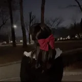 양시온