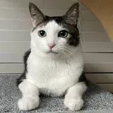 리뷰 작성자